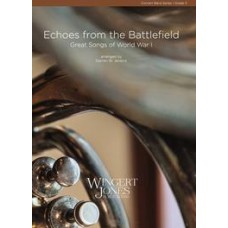Echoes from the Battlefield